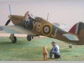 Aircraft Military Modelling 39