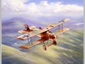 Aircraft Paintings 11