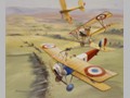 Aircraft Paintings 12