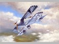Aircraft Paintings 15