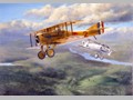 Aircraft Paintings 16