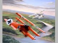 Aircraft Paintings 17