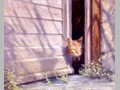 Cat Paintings 25