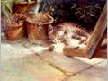 Cat Paintings 28