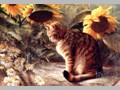 Cat Paintings 38