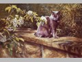 Cat Paintings 5