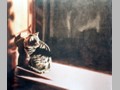 Cat Paintings 57